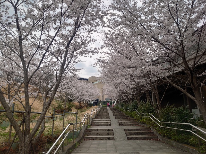 yukimi.Dさんの竜泉寺の湯 八王子みなみ野店のサ活写真