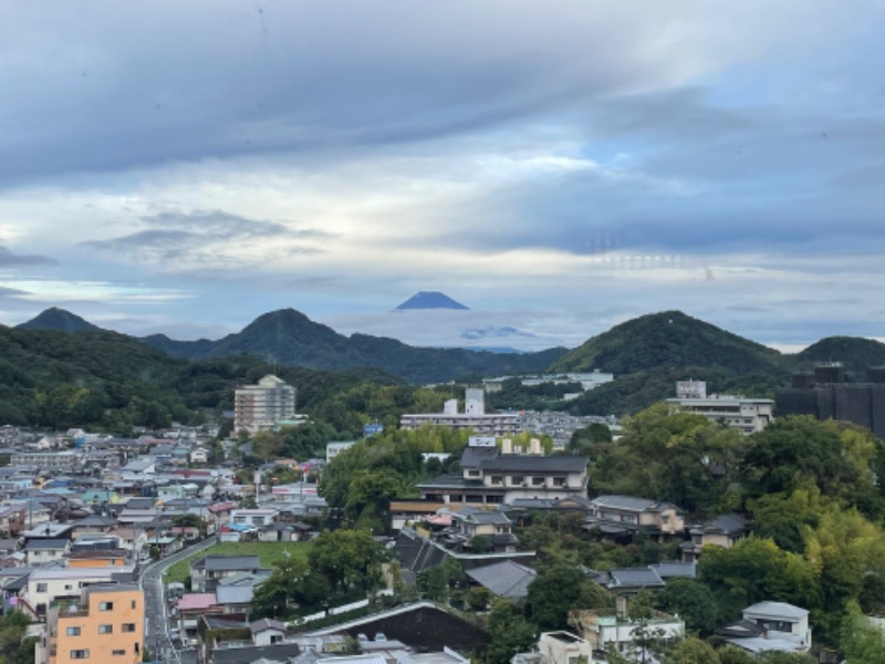 EAGLE_NEST（イゴ）さんのニュー八景園のサ活写真