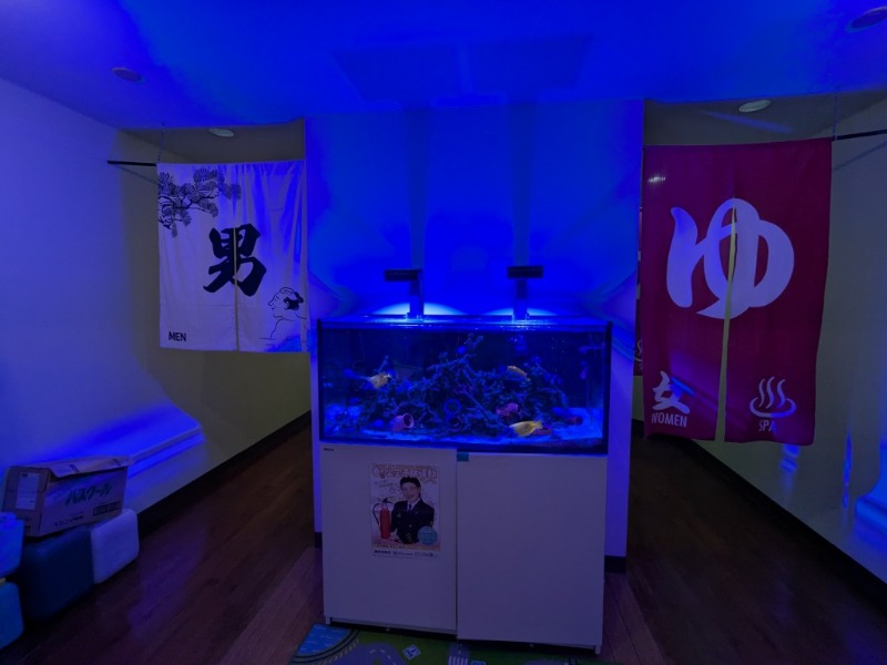 たかたかしさんのゆ～ポッポのサ活写真