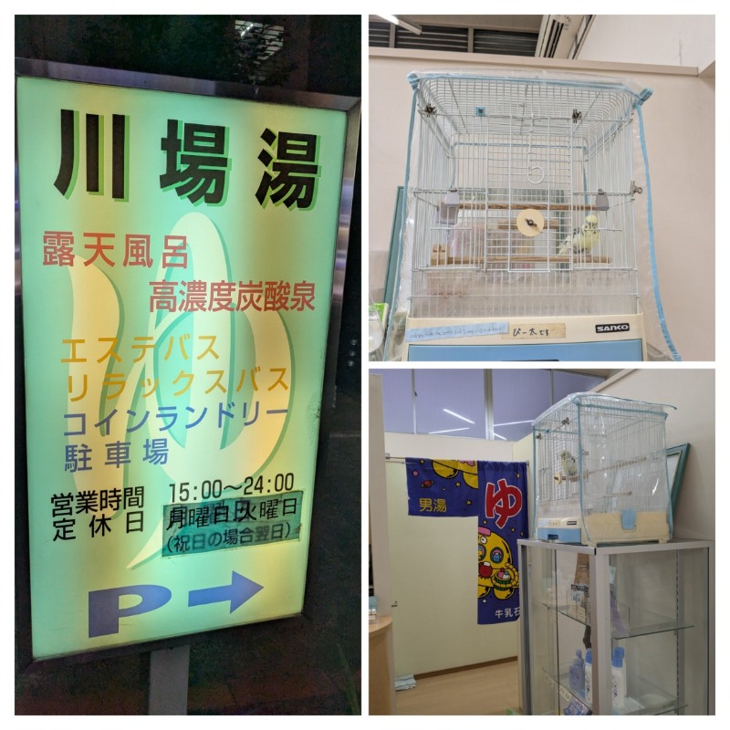 たかたかしさんのゆ～ポッポのサ活写真