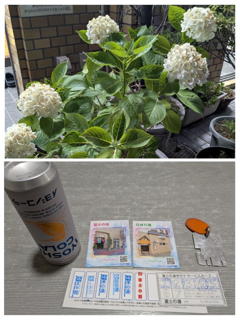 たかたかしさんの冨士の湯のサ活写真