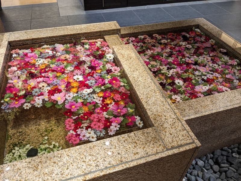 たかたかしさんの綱島源泉 湯けむりの庄のサ活写真