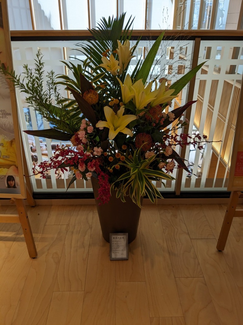 たかたかしさんの綱島源泉 湯けむりの庄のサ活写真