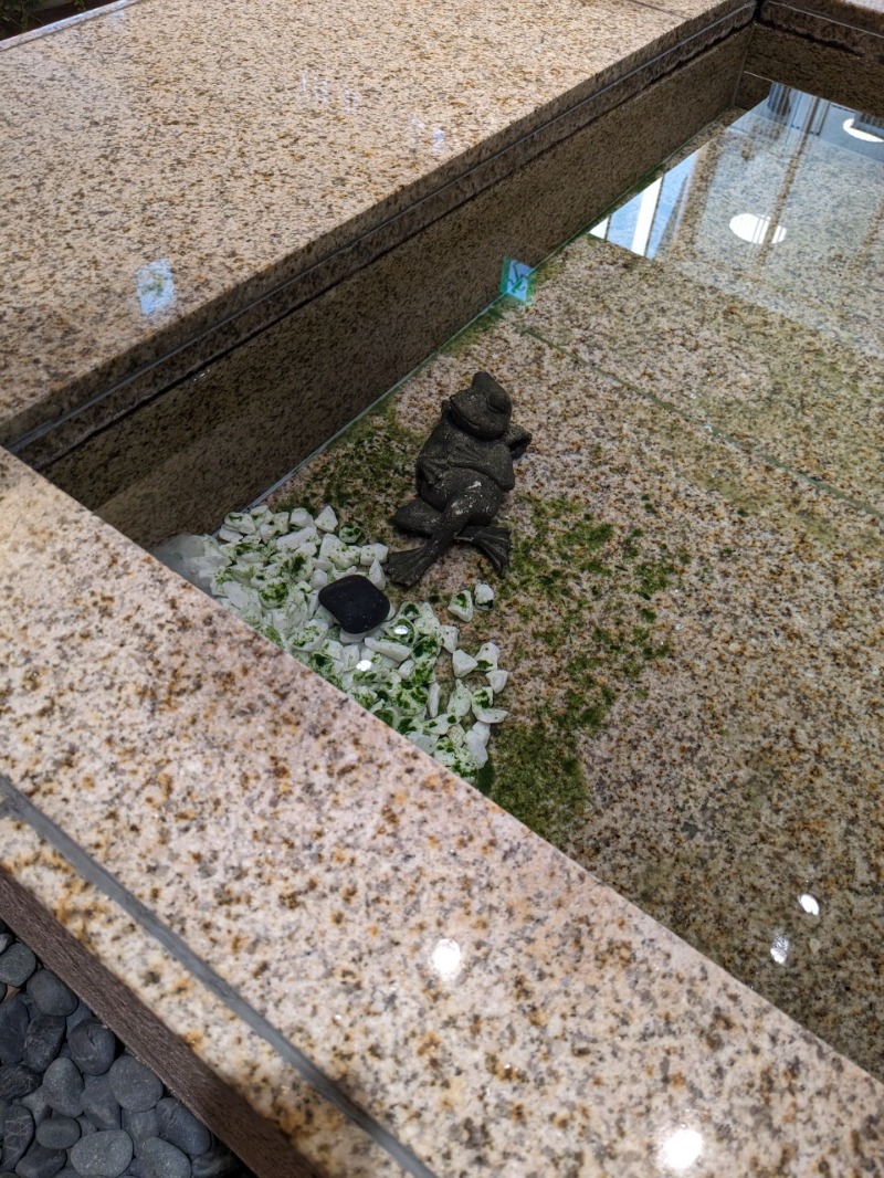 たかたかしさんの綱島源泉 湯けむりの庄のサ活写真