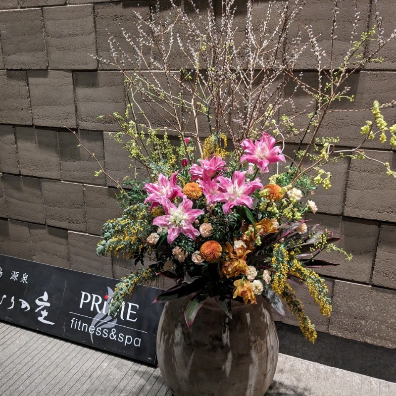 たかたかしさんの綱島源泉 湯けむりの庄のサ活写真