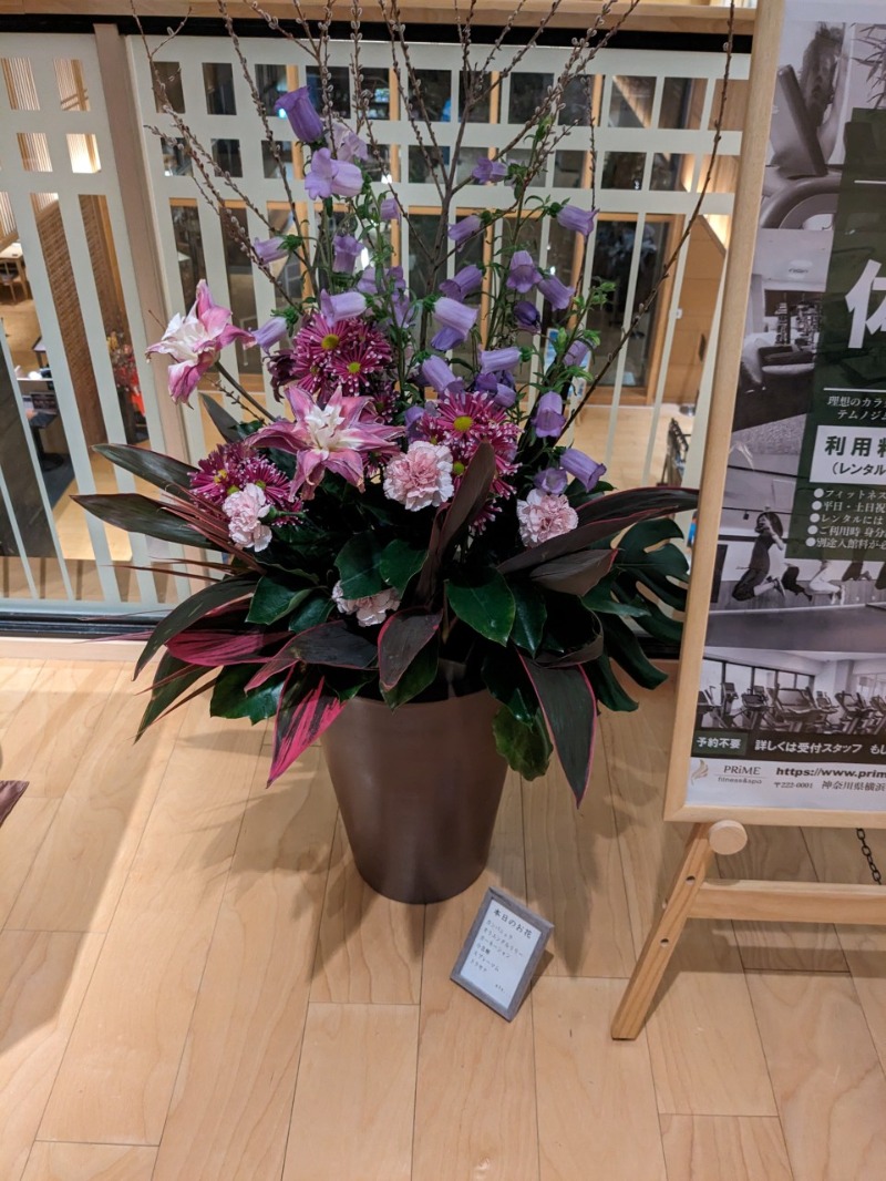 たかたかしさんの綱島源泉 湯けむりの庄のサ活写真