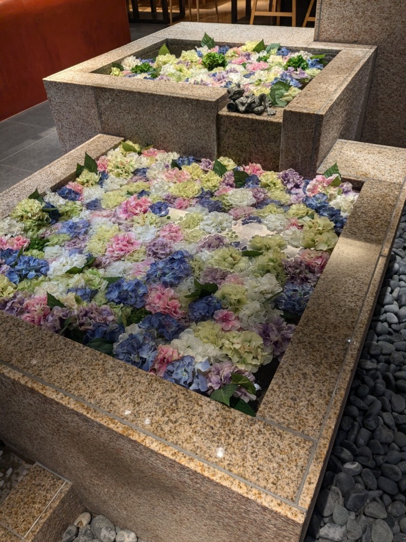 たかたかしさんの綱島源泉 湯けむりの庄のサ活写真