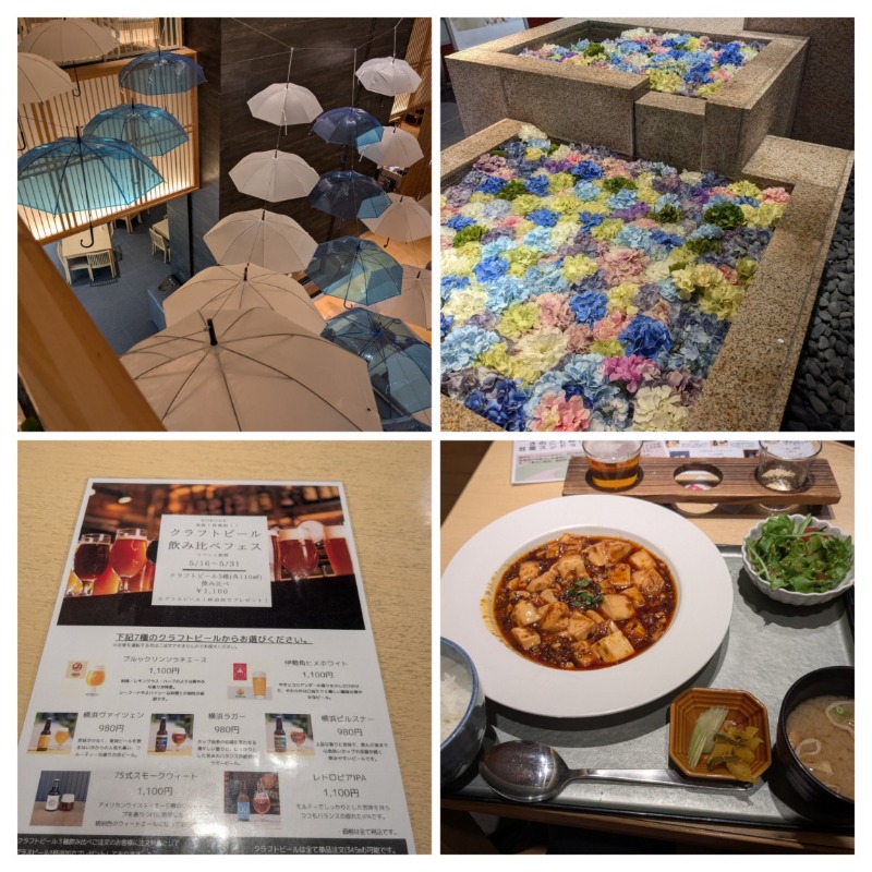 たかたかしさんの綱島源泉 湯けむりの庄のサ活写真