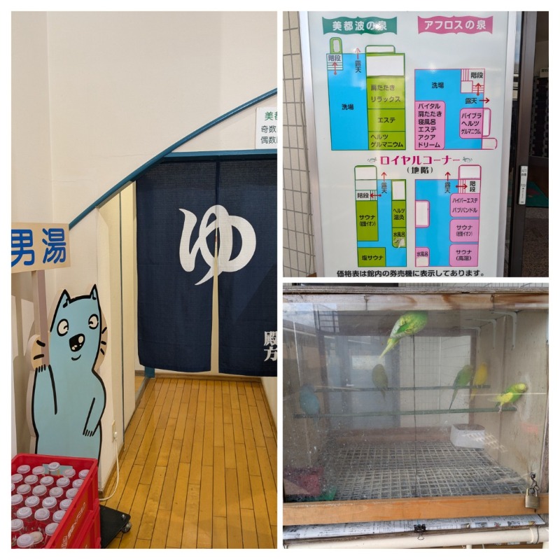 たかたかしさんの湯あそびひろば 葛の湯のサ活写真