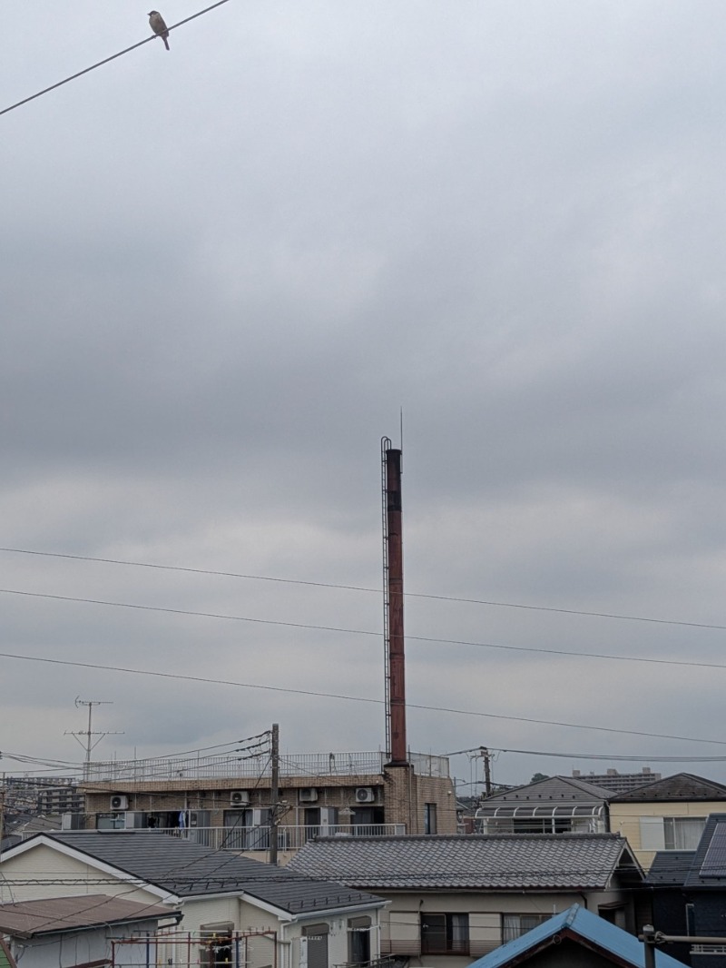 たかたかしさんの第二江陽館(だいにこうようかん)のサ活写真