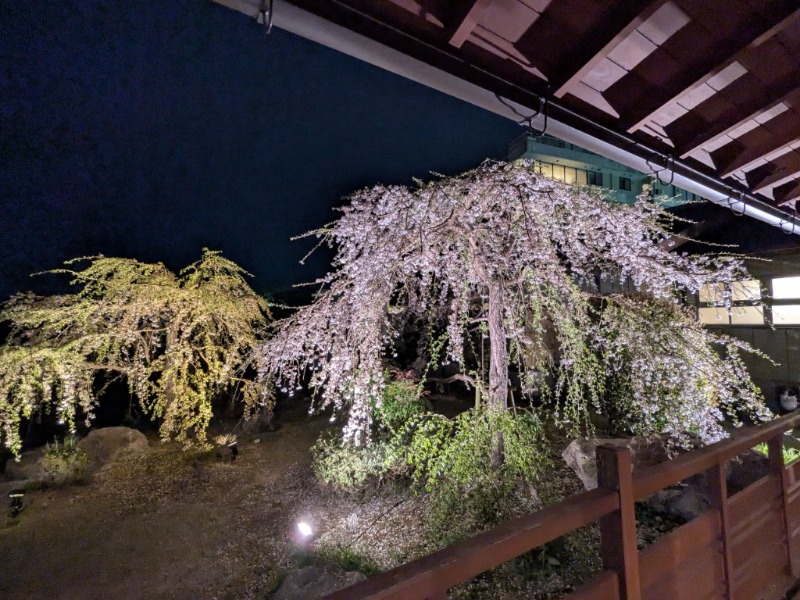 たかたかしさんのびわこ緑水亭のサ活写真