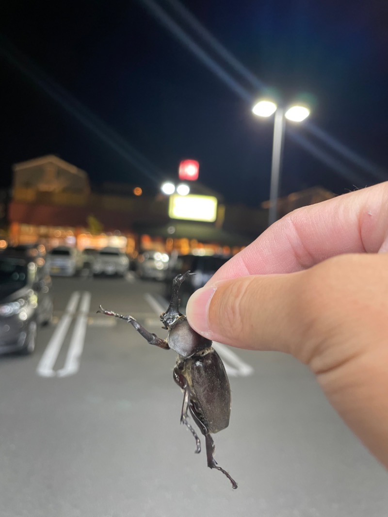 P太さんのふくの湯 花畑店のサ活写真