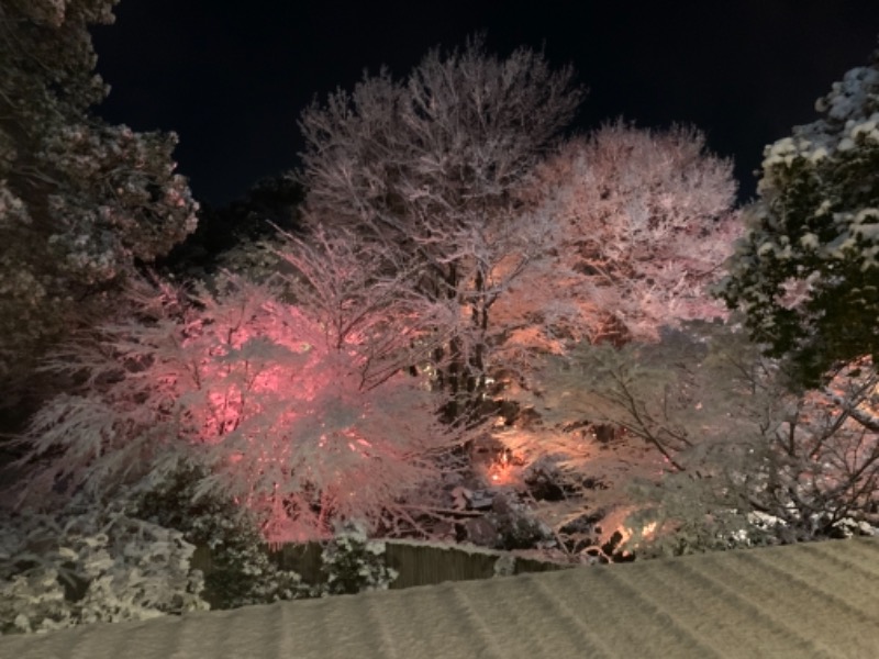 oooootantanさんの豊島園 庭の湯のサ活写真