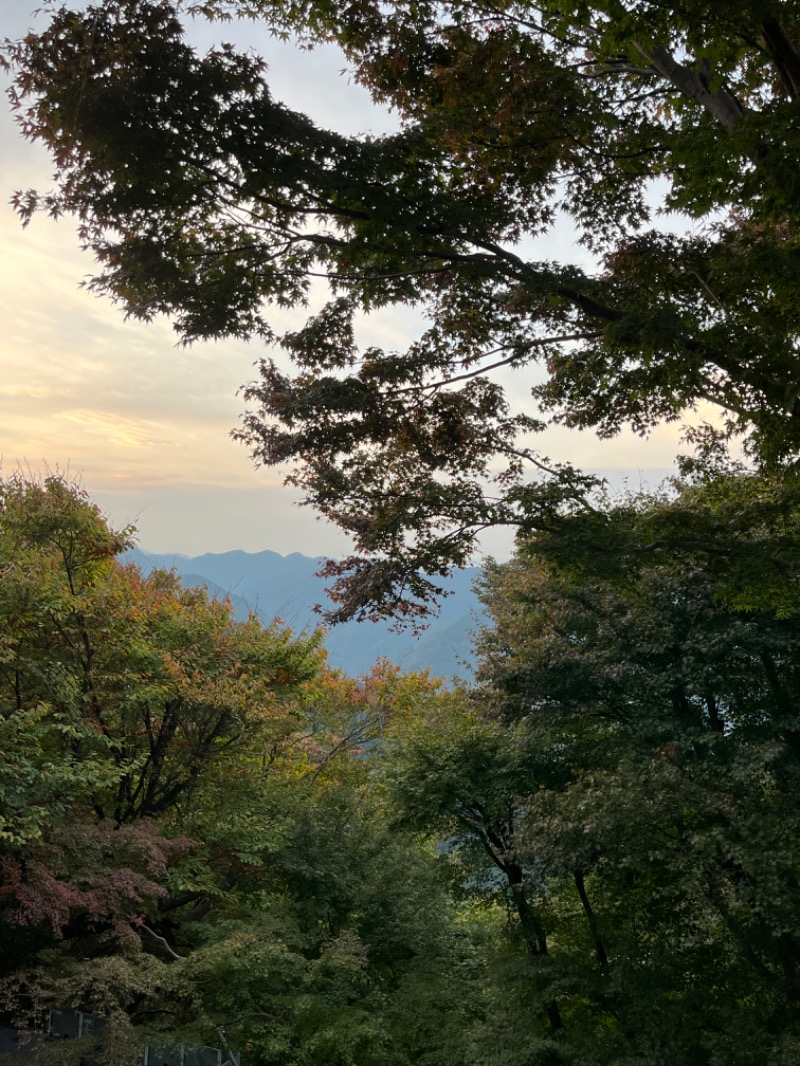 みさんの京王高尾山温泉 極楽湯のサ活写真