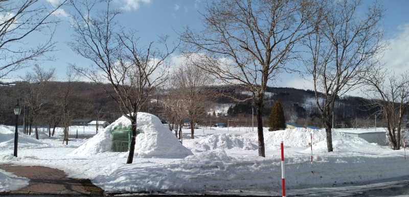湯治さんのログホテル  ザ  メープルロッジのサ活写真