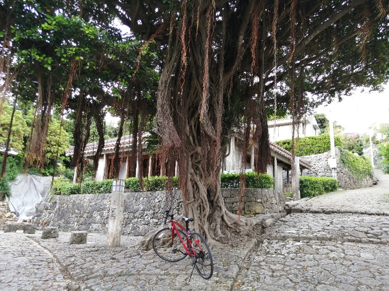 たつ兄さんのワイズキャビン&ホテル 那覇国際通りのサ活写真