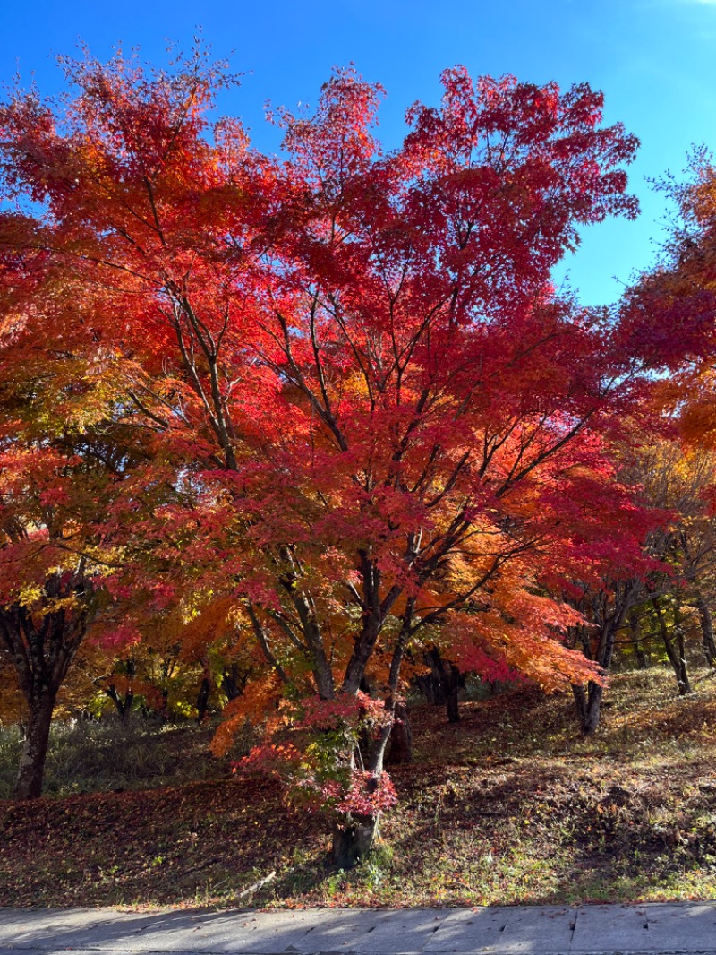 37_JJSさんの正徳寺温泉初花のサ活写真