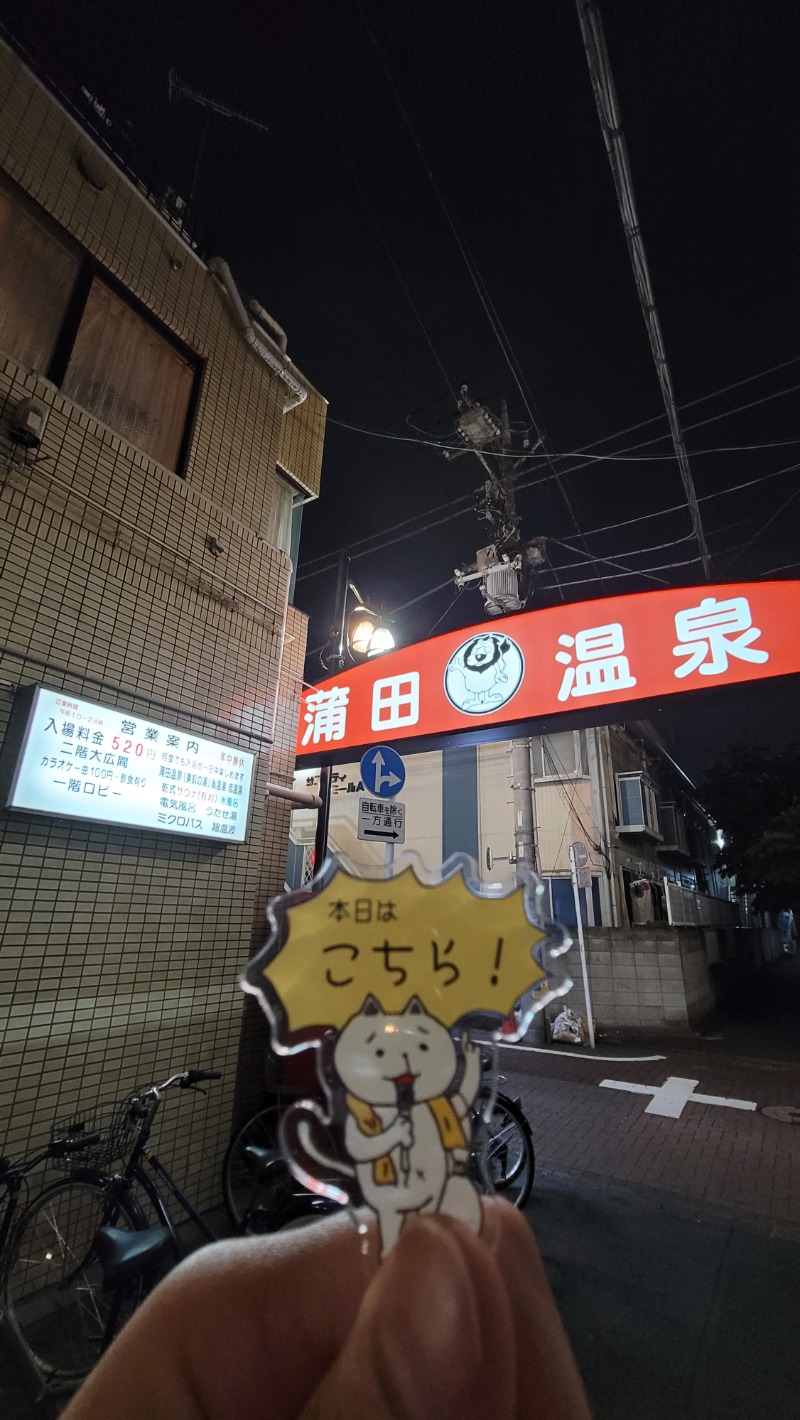 とんさんの蒲田温泉のサ活写真