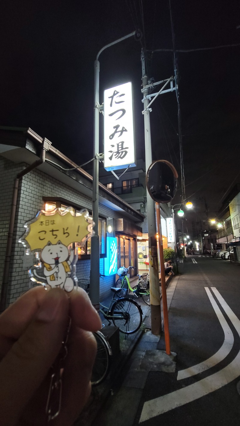 とんさんの辰巳湯のサ活写真