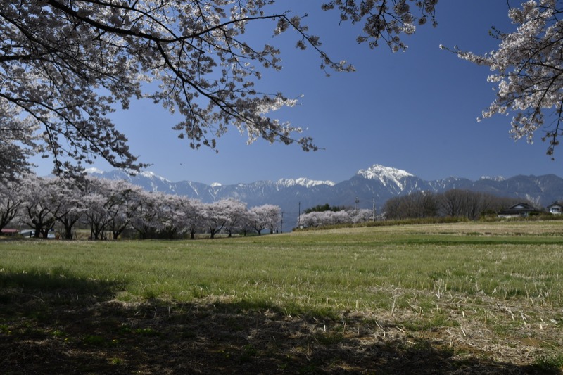 tarmtechさんのたかねの湯のサ活写真