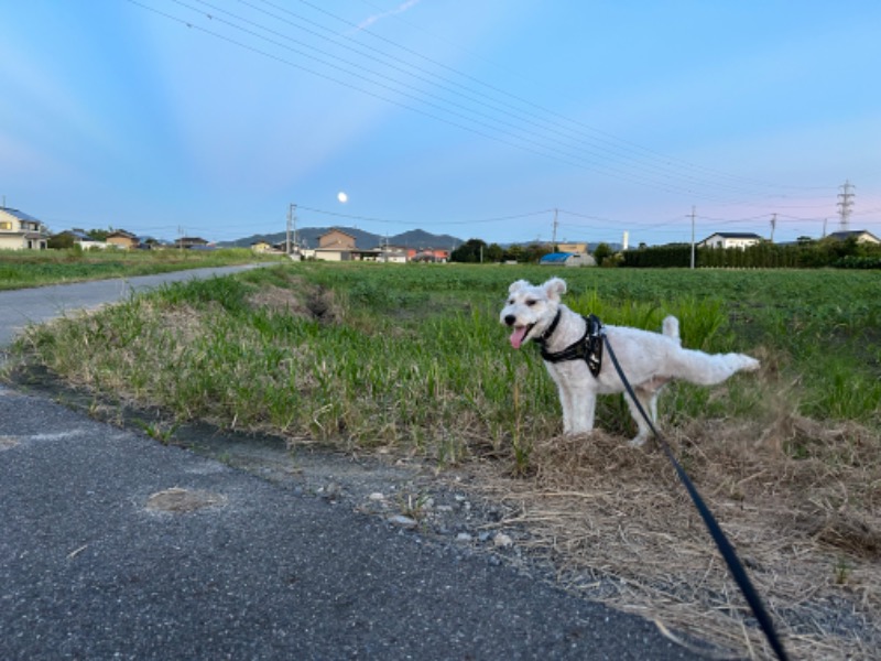 にぇいじさんの亀崎の湯のサ活写真