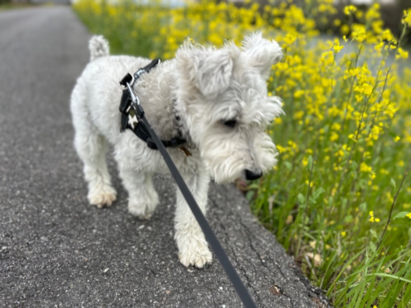 にぇいじさんのサウナ&ホテルみどり館のサ活写真