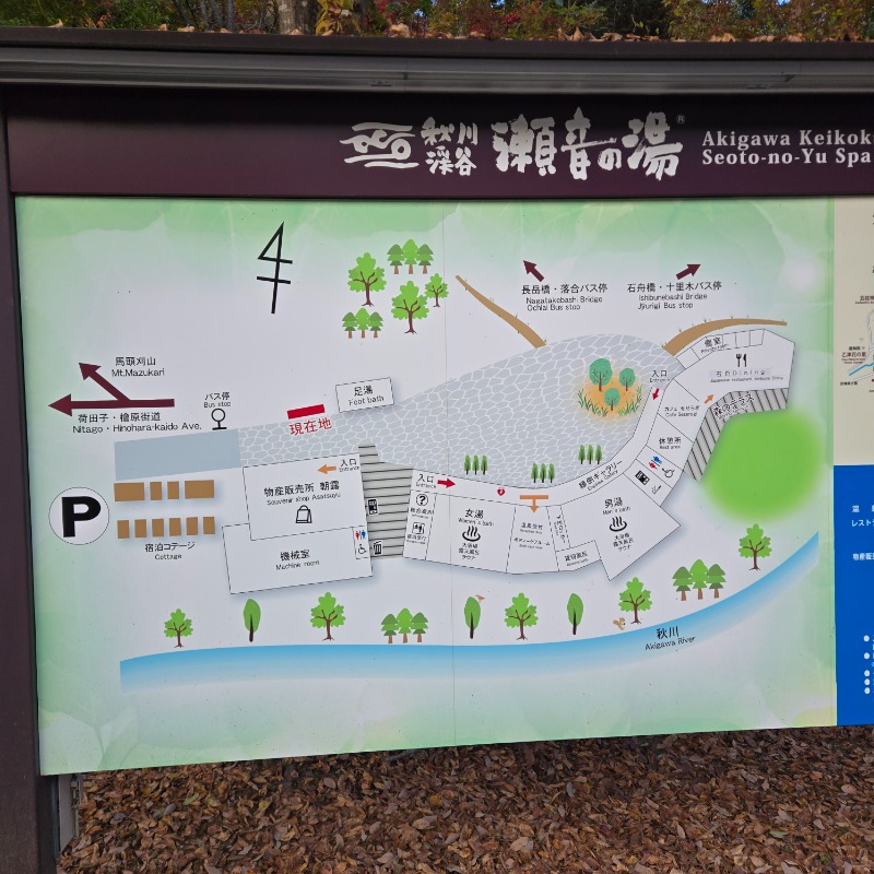 水風呂ちべたいさんの秋川渓谷 瀬音の湯のサ活写真