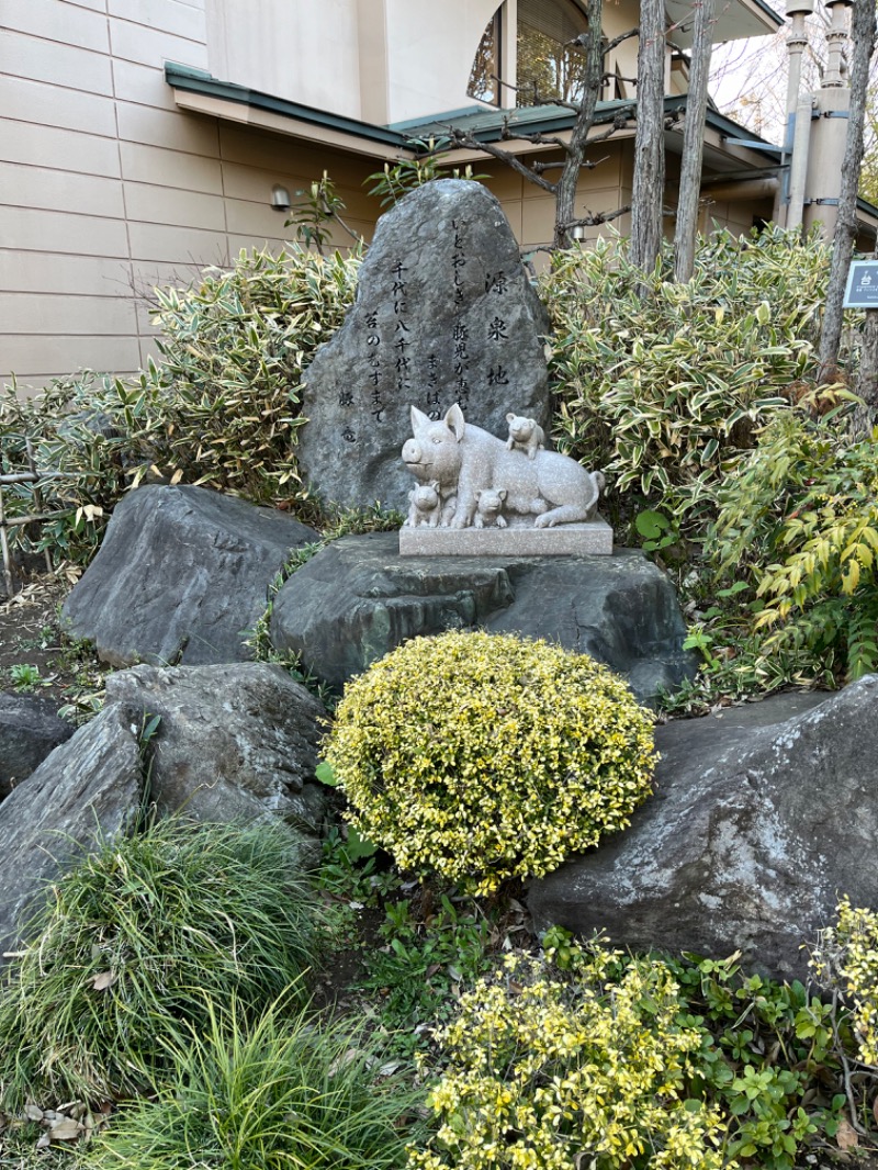 多分、ヨッ。さんの天然温泉 花鳥風月のサ活写真