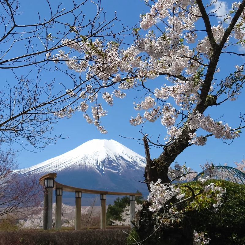 SAUNAUGHTY(サウナーティ)さんのホテルマウント富士のサ活写真