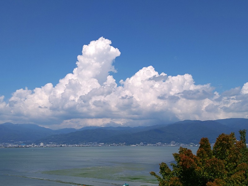 温泉登山トラベラーさんのカプセルイン ミナミ 立川店のサ活写真