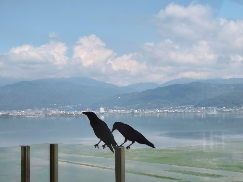 温泉登山トラベラーさんのカプセルイン ミナミ 立川店のサ活写真