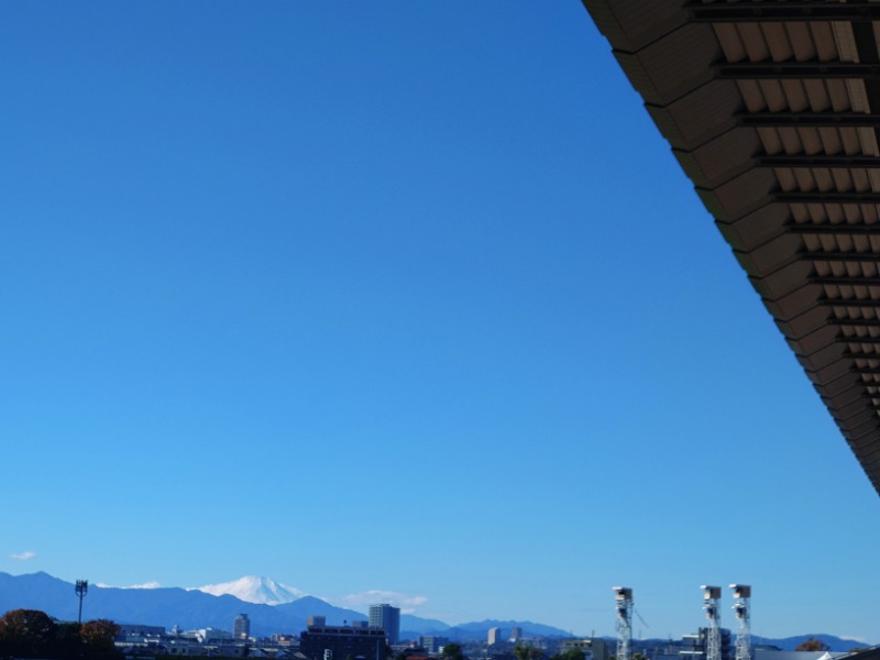 温泉登山トラベラーさんのカプセルイン ミナミ 立川店のサ活写真