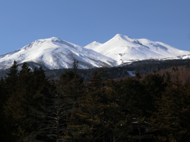 温泉登山トラベラーさんの信州健康ランドのサ活写真