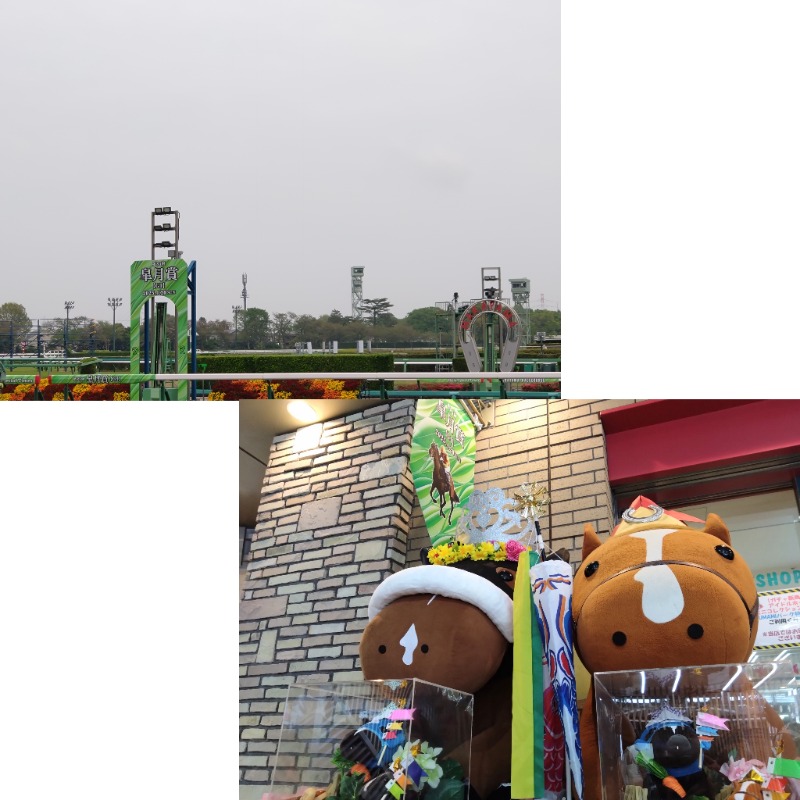 温泉登山トラベラーさんの楽天地天然温泉 法典の湯のサ活写真