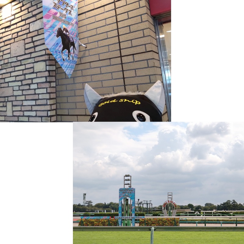 温泉登山トラベラーさんのゆープラザ若宮のサ活写真