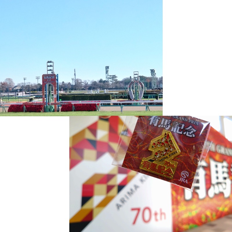 温泉登山トラベラーさんのゆープラザ若宮のサ活写真