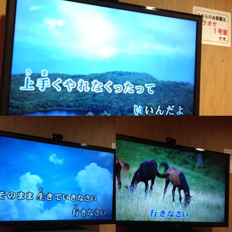 温泉登山トラベラーさんの石和健康ランドのサ活写真