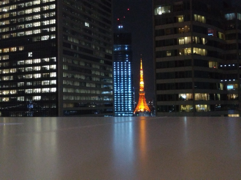 温泉登山トラベラーさんのアジュール竹芝 天空の湯のサ活写真