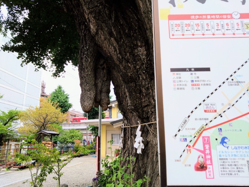 温泉登山トラベラーさんの天然温泉 平和島のサ活写真