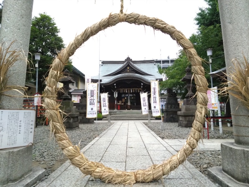 温泉登山トラベラーさんの天然温泉 平和島のサ活写真