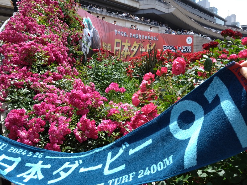 温泉登山トラベラーさんの天然温泉 平和島のサ活写真