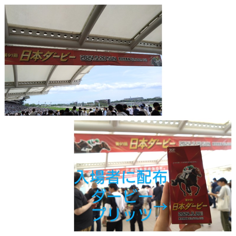 温泉登山トラベラーさんの天然温泉 平和島のサ活写真