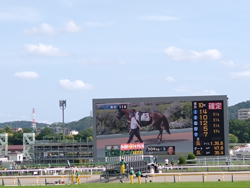 温泉登山トラベラーさんの天然温泉 平和島のサ活写真