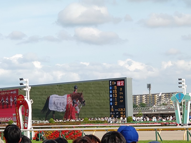 温泉登山トラベラーさんの天然温泉 平和島のサ活写真