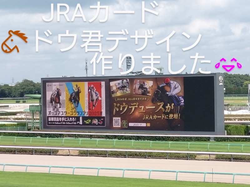 温泉登山トラベラーさんの天然温泉 平和島のサ活写真