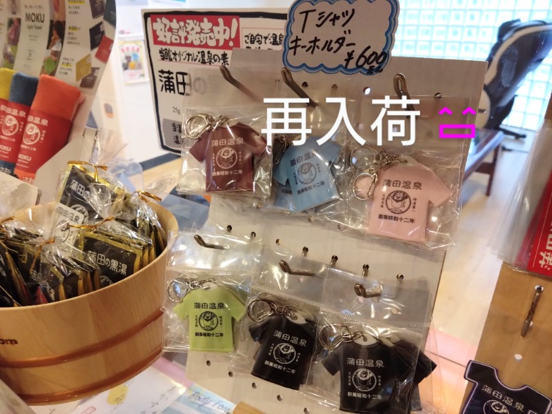 温泉登山トラベラーさんの蒲田温泉のサ活写真