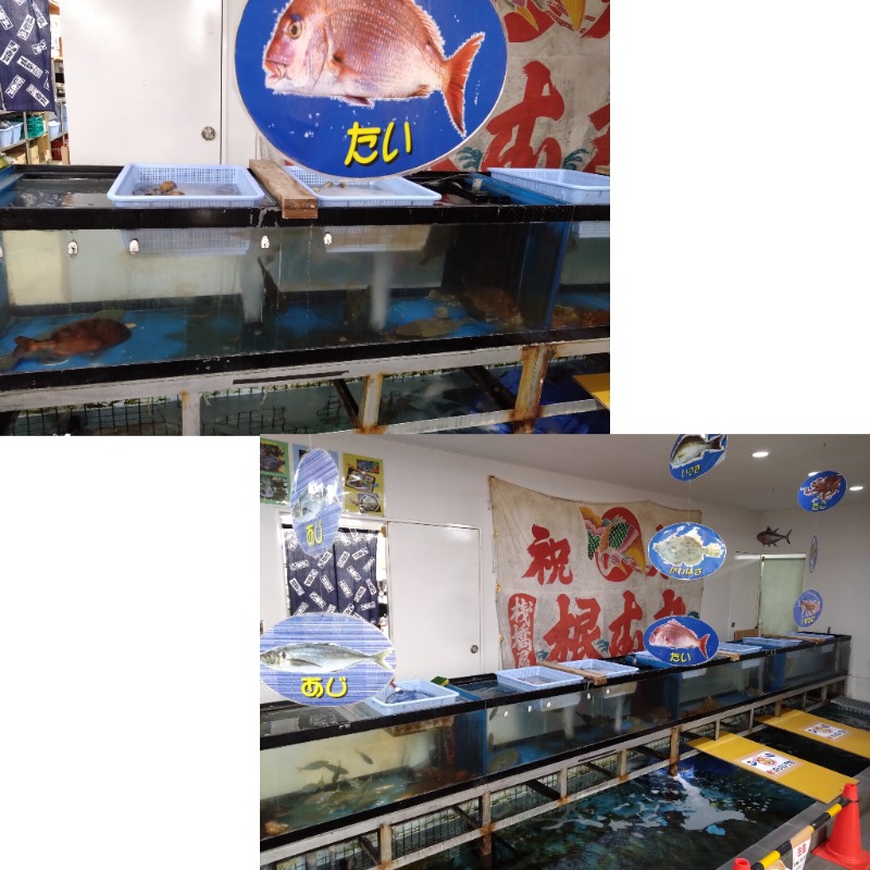 温泉登山トラベラーさんの海辺の湯 久里浜店のサ活写真
