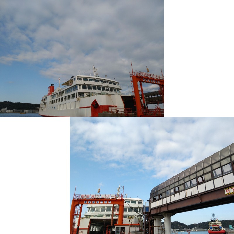 温泉登山トラベラーさんの海辺の湯 久里浜店のサ活写真