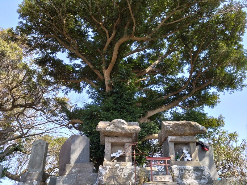 温泉登山トラベラーさんの海辺の湯 久里浜店のサ活写真