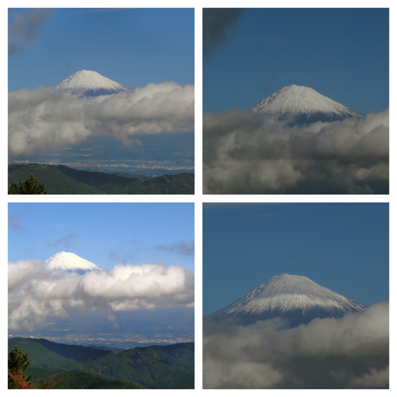 温泉登山トラベラーさんの駿河健康ランドのサ活写真